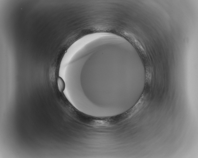 X0000100920167200807221123