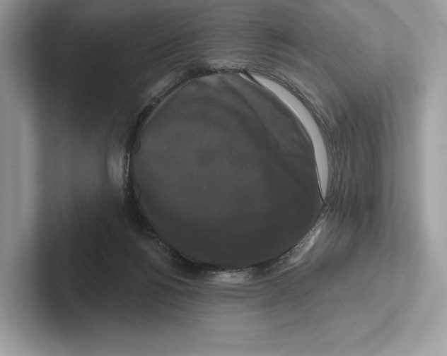 X0000100920168200807221123