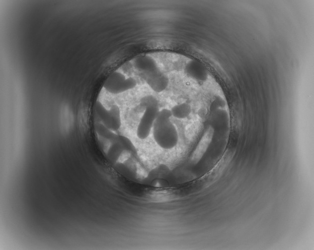 X0000100920171200807221123