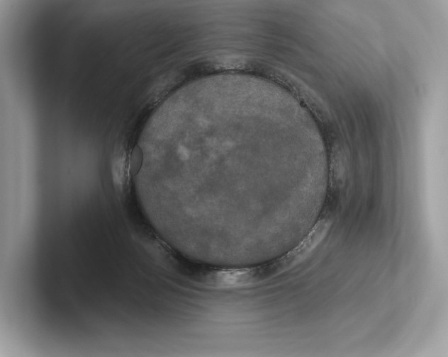 X0000100920172200807221123