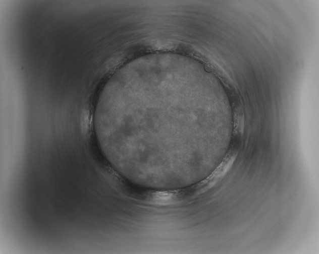 X0000100920176200807221123