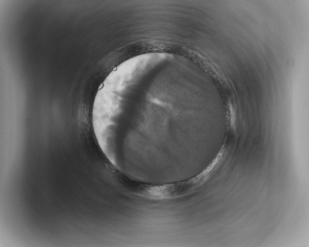X0000100920178200807221123