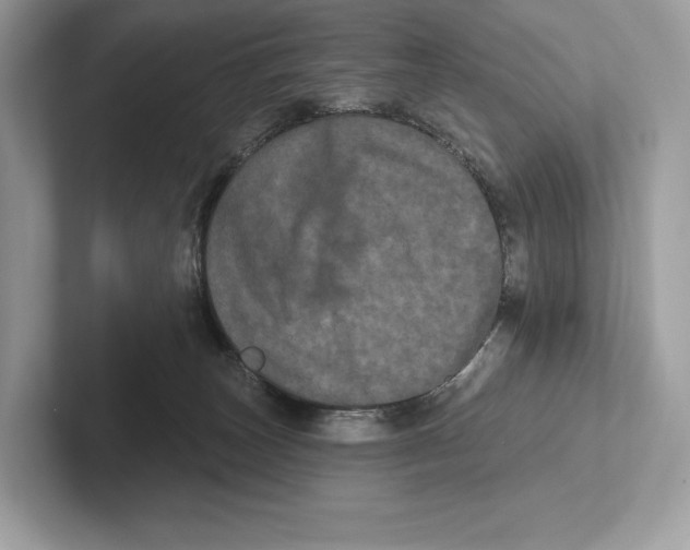 X0000100920179200807221123