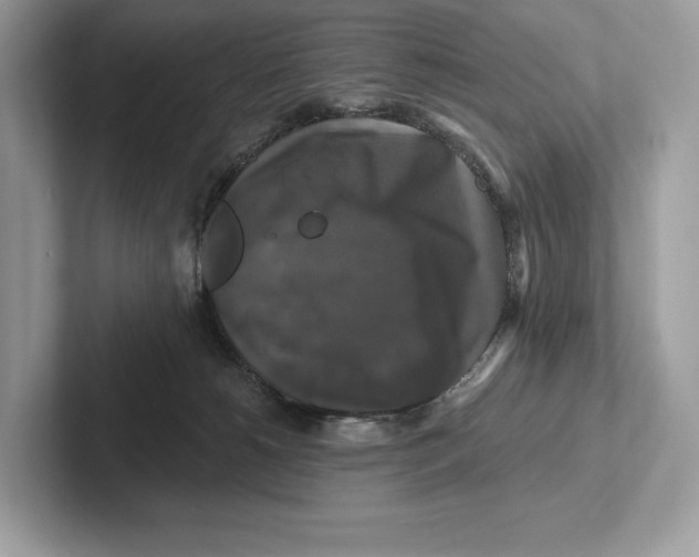 X0000100920180200807221124