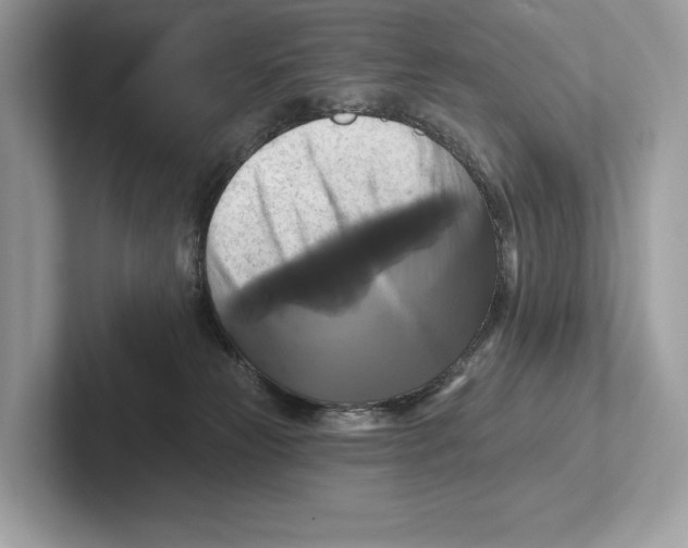 X0000100920181200807221124