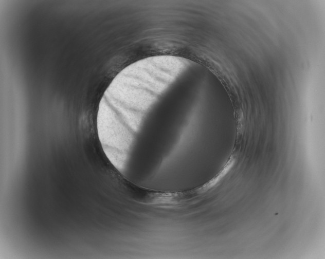 X0000100920182200807221124