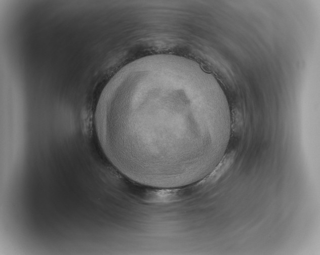 X0000100920184200807221124