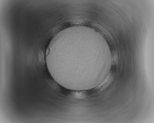 X0000100920187200807221124