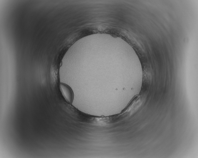 X0000100920188200807221124
