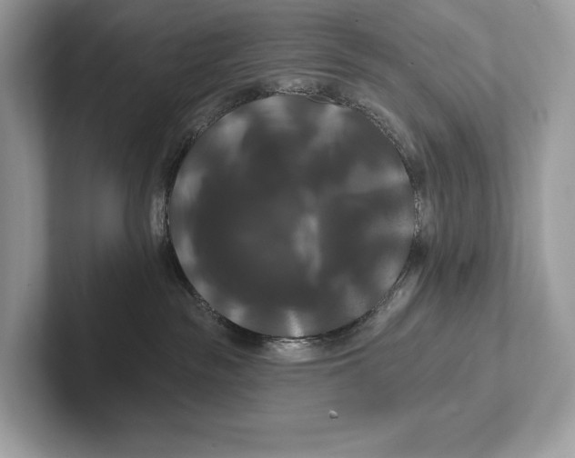 X0000100920189200807221124