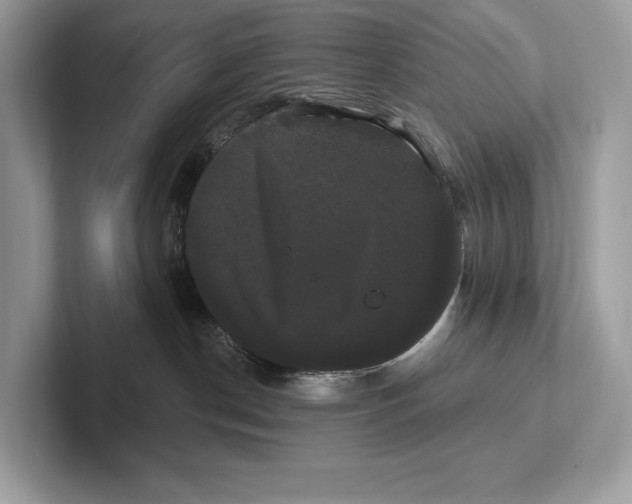 X0000100920190200807221124