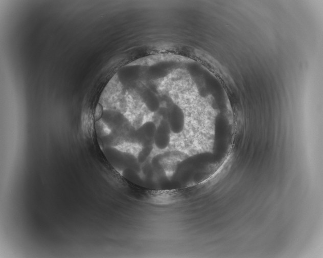 X0000100920191200807221124