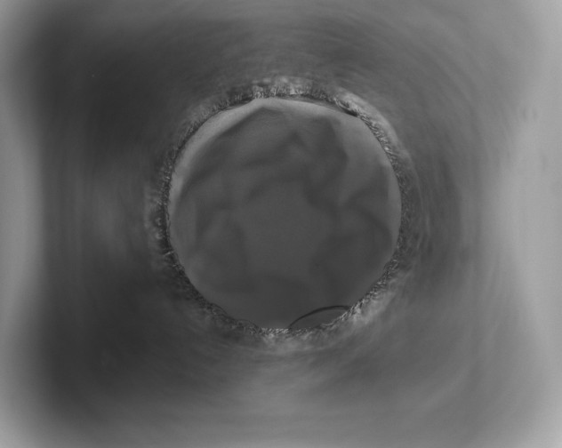 X0000100920192200807221124