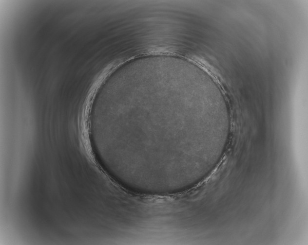 X0000100920193200807221123