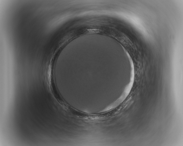 X0000100920194200807221123