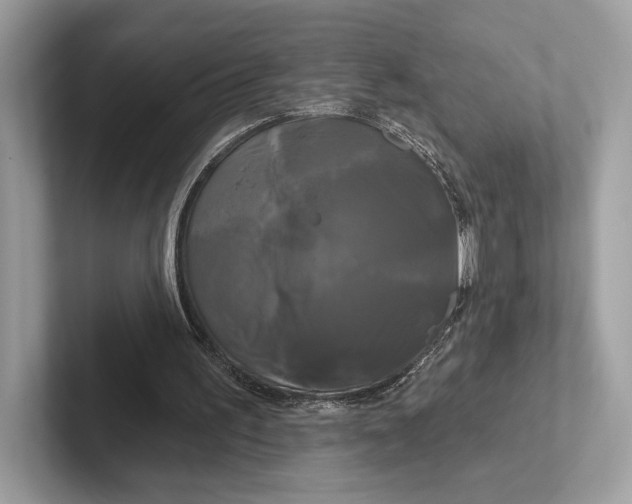 X0000100920195200807221123