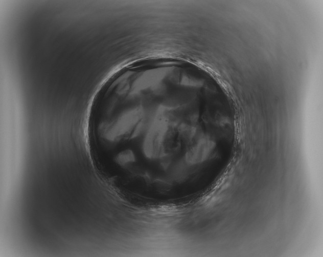 X0000100920196200807221123