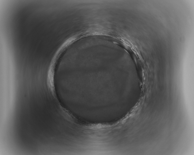 X0000100920197200807221123