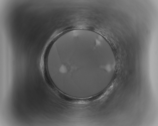 X0000100920198200807221123