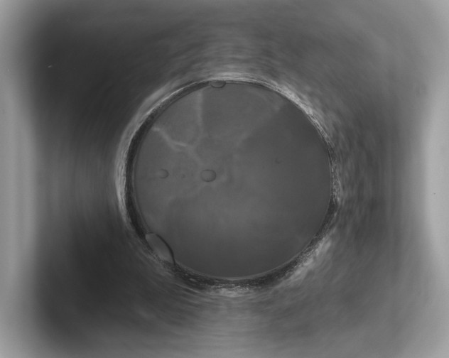 X0000100920199200807221123