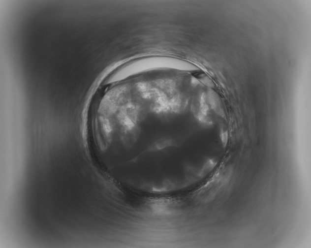 X0000100920200200807221123