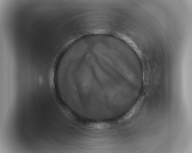 X0000100920201200807221123