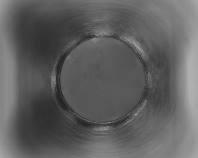 X0000100920202200807221123