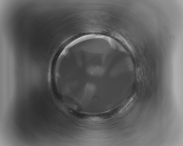 X0000100920203200807221123