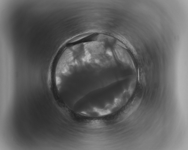 X0000100920204200807221123