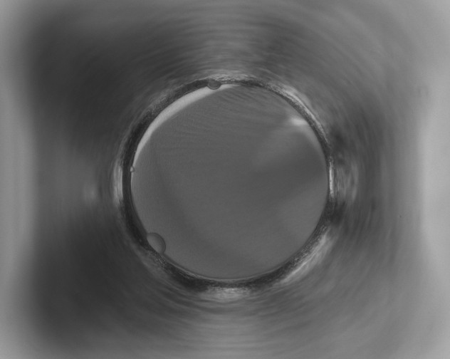 X0000100920205200807221123