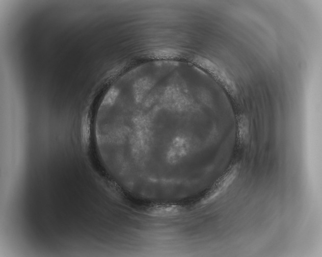 X0000100920206200807221123