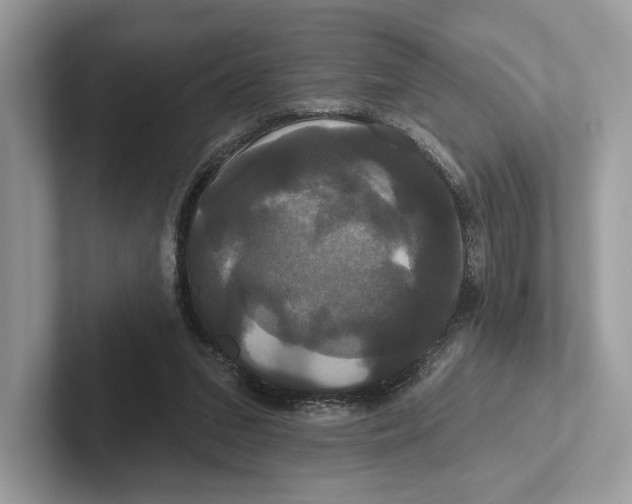 X0000100920207200807221123