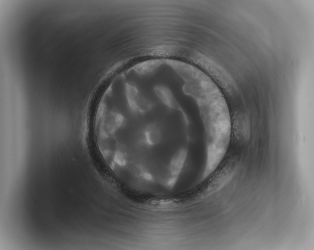 X0000100920208200807221123