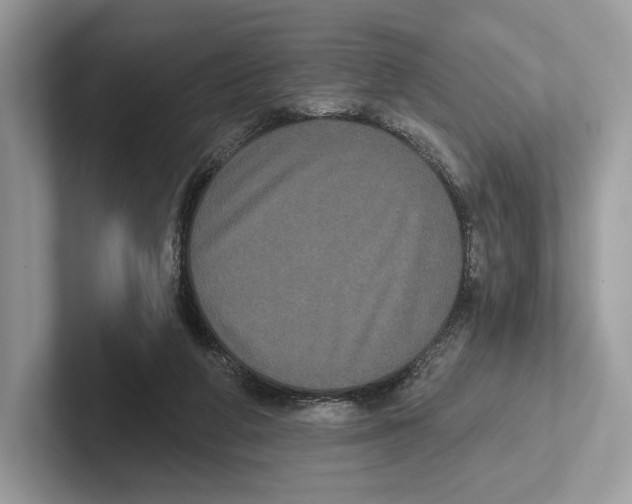 X0000100920210200807221123