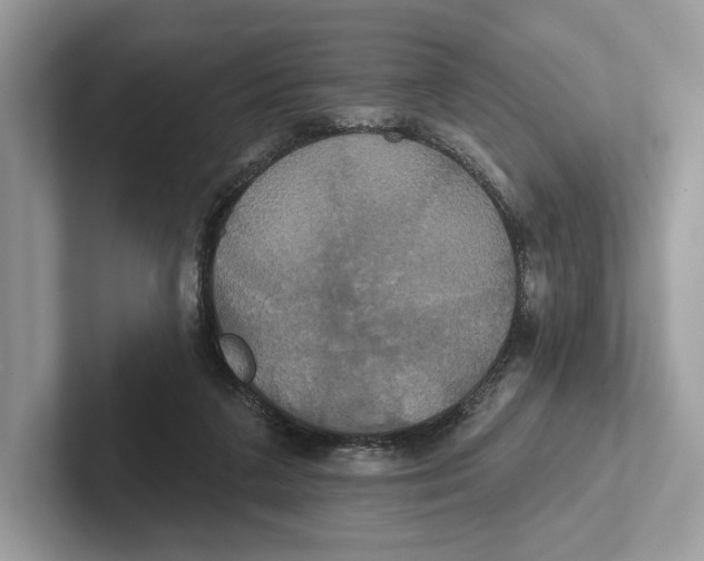 X0000100920211200807221123