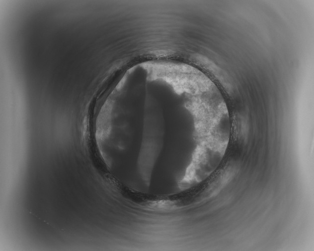 X0000100920212200807221123