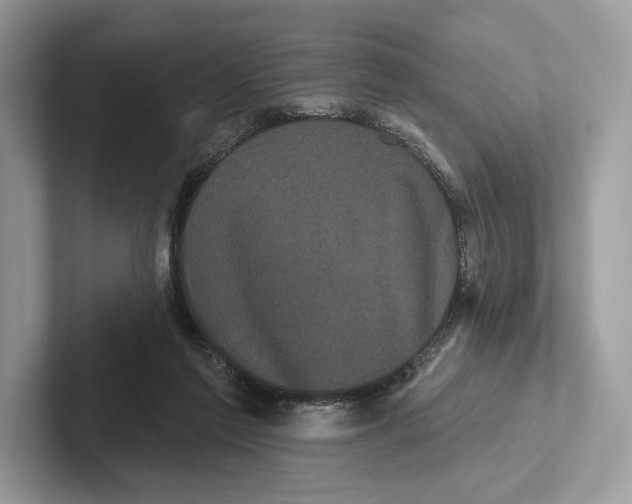 X0000100920213200807221123