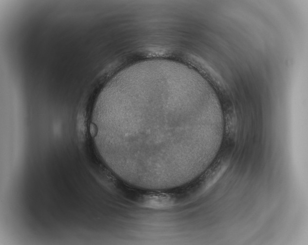 X0000100920215200807221123