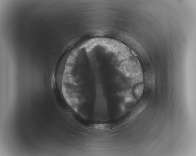 X0000100920216200807221123