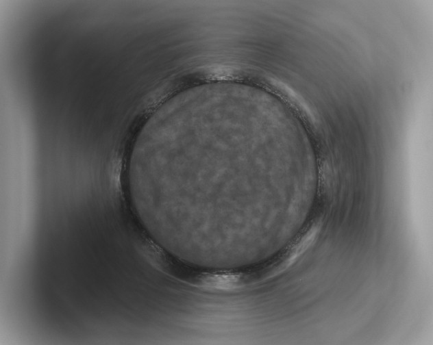 X0000100920217200807221123
