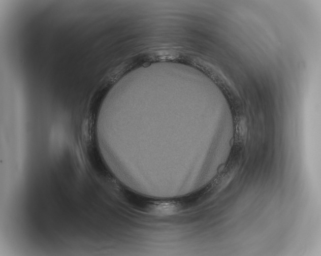 X0000100920218200807221123