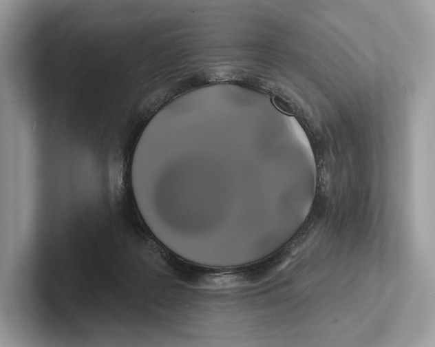 X0000100920219200807221123