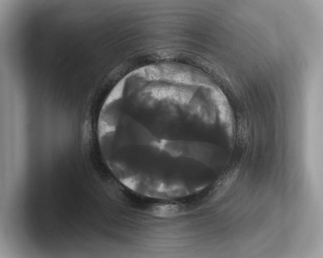 X0000100920220200807221123