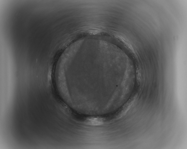 X0000100920221200807221123