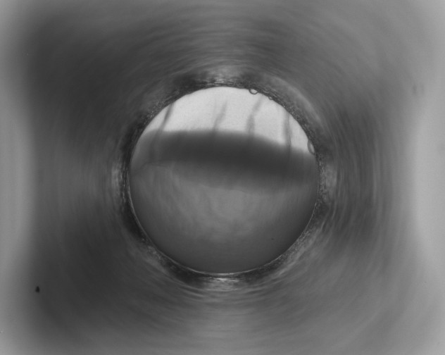 X0000100920222200807221123