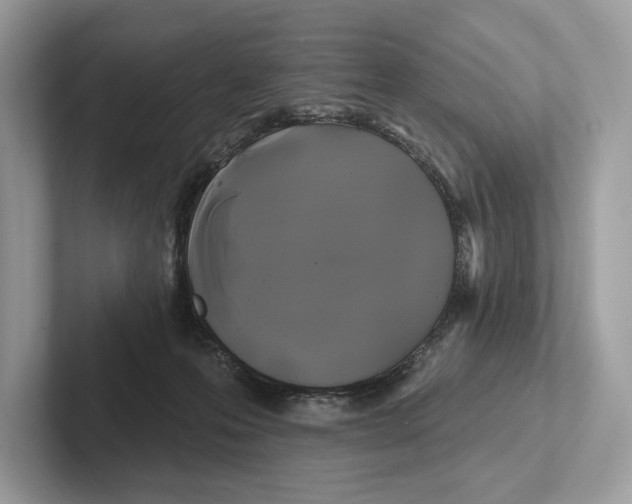 X0000100920223200807221123