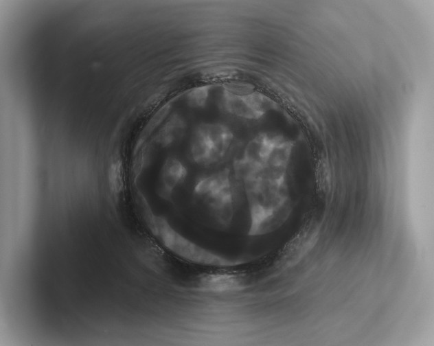 X0000100920224200807221123