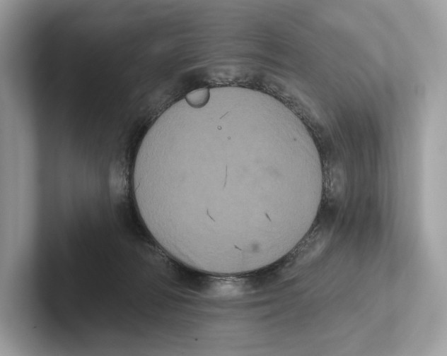 X0000100920226200807221123