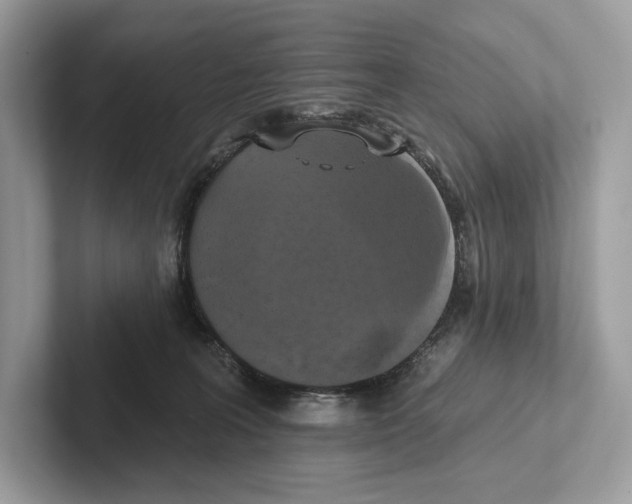 X0000100920227200807221123