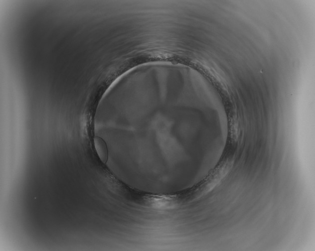X0000100920229200807221123